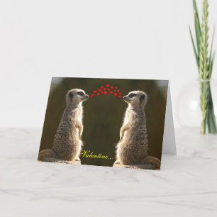 Meerkat Valentine Card 003 Feiertagskarte