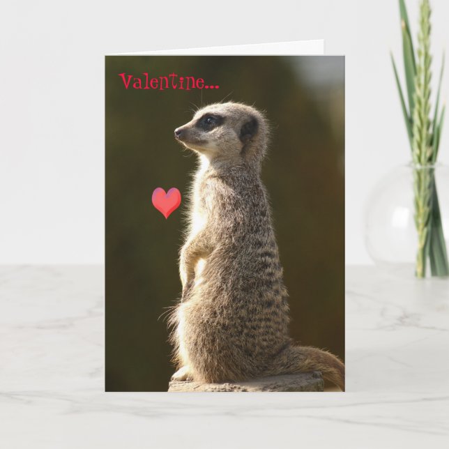 Meerkat Valentinsgruß-Karte 005 Feiertagskarte (Vorderseite)