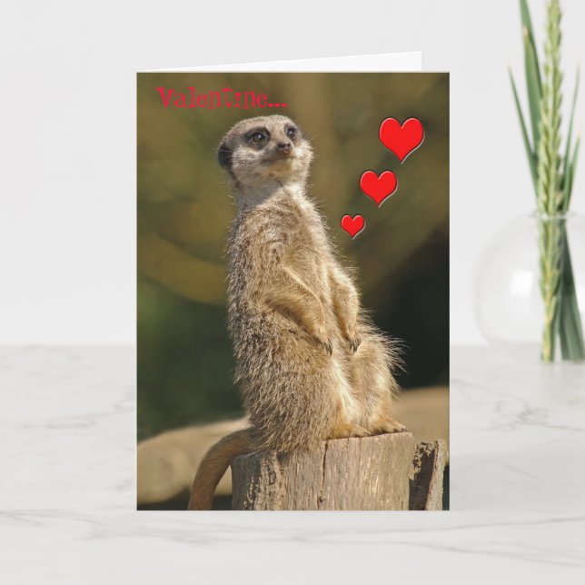 Meerkat Valentinsgruß-Karte 006 Feiertagskarte (Vorderseite)