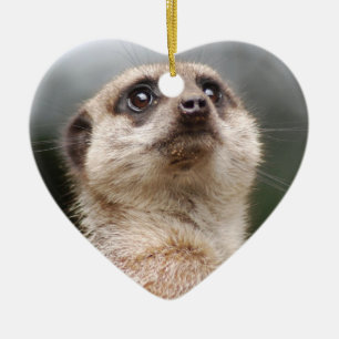 Meerkat Verzierung Keramikornament