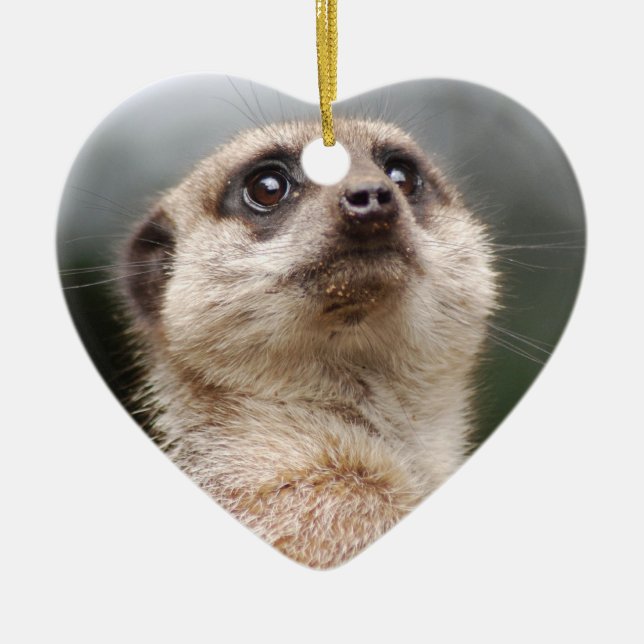 Meerkat Verzierung Keramikornament (Vorne)