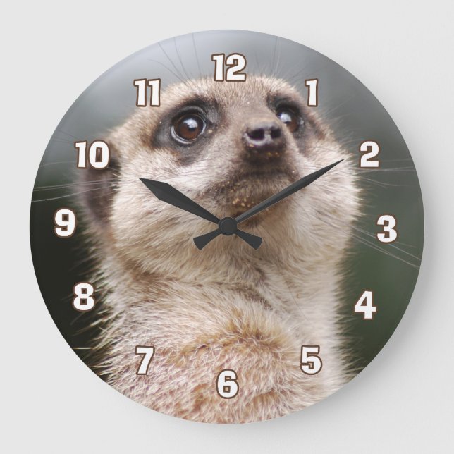 Meerkat Wanduhr (Vorderseite)
