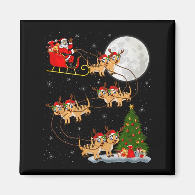 Meerkat Weihnachtsmann Schlitten Fliegend Lustiger Magnet (Vorne)
