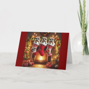 Meerkat-Weihnachtsstrümpfe Feiertagskarte