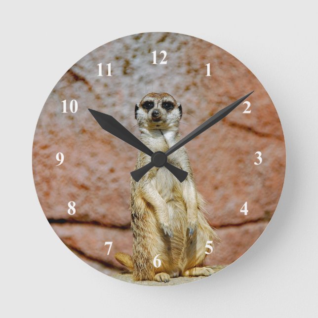 Meerkat Wildlife Foto Runde Wanduhr (Vorderseite)