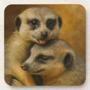 Meerkat-Zuneigung Getränkeuntersetzer