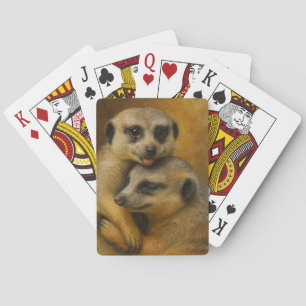 Meerkat-Zuneigung Spielkarten