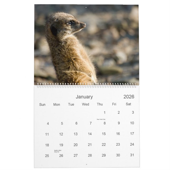 Meerkats 2010 Kalender (Jan 2026)