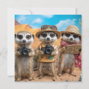 Meerkats als Touristen mit Kameras und Karten verk