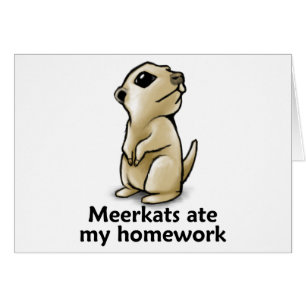 Meerkats aß meine Hausaufgaben