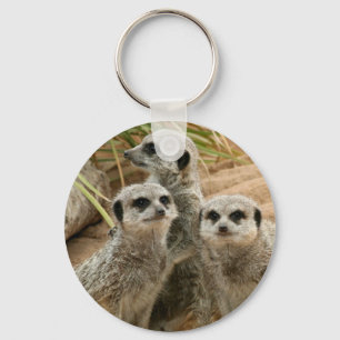 Meerkats auf dem Ausblick Schlüsselanhänger