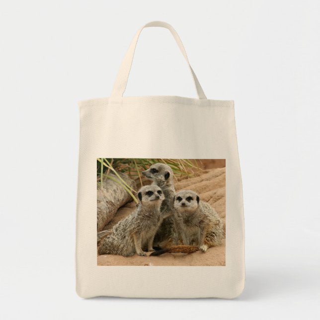 Meerkats auf der Bio Tasche des Ausblickes (Vorne)