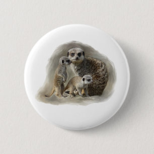 meerkats button