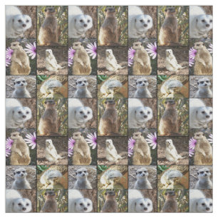 Meerkats FotoCollage Combed Cotton Material Stoff