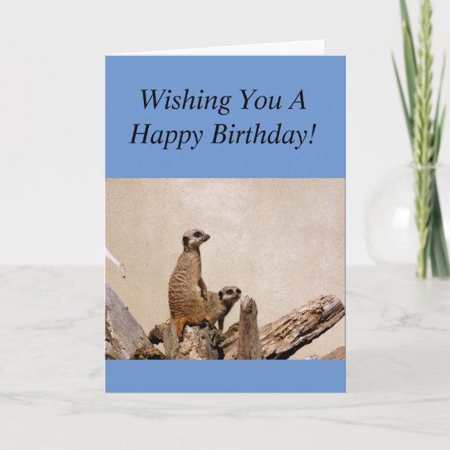 Meerkats Glücklich Geburtstag Gruß! Karte (Vorderseite)