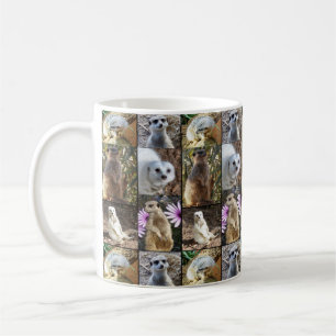 Meerkats in einer FotoCollage, Kaffeetasse