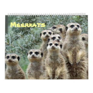 Meerkats Kalender