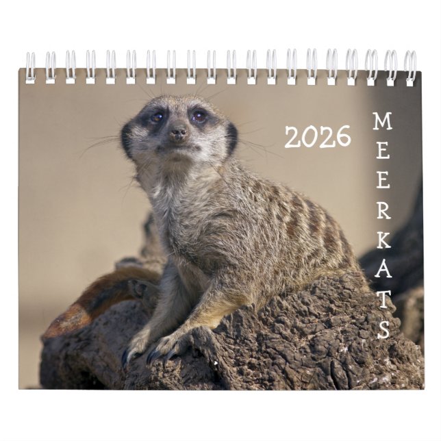 Meerkats-Kalender Kalender (Titelbild)