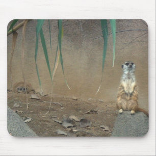 Meerkats Mousepad