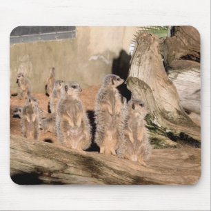 Meerkats Mousepad
