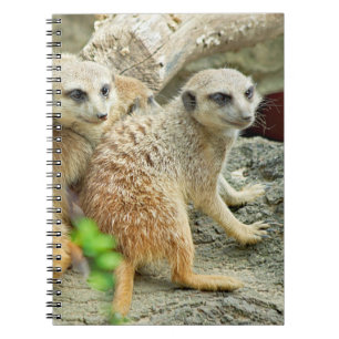 Meerkats - Notebook Notizblock