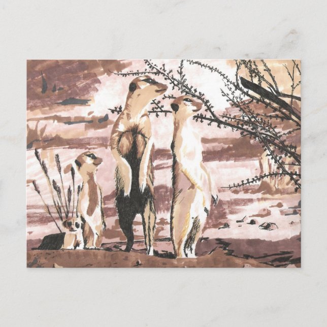 Meerkats Postkarte (Vorderseite)