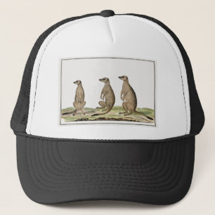 Meerkats Truckerkappe