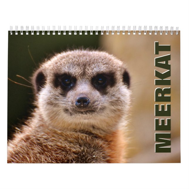 Meerkats Wall Calendar Kalender (Titelbild)
