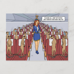 Meerkats wir haben Plane Postcard Postkarte