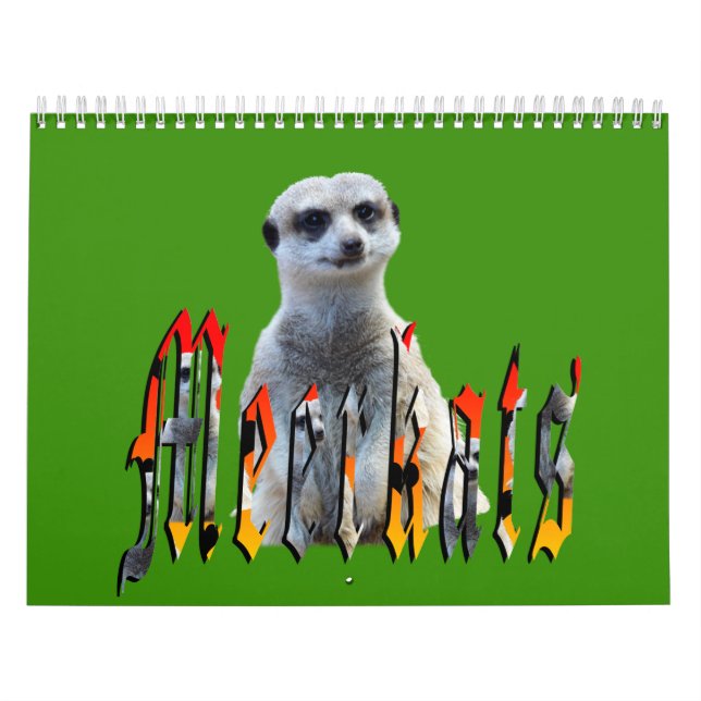Meerkats with Style Australian Holidays 2019, Kalender (Titelbild)