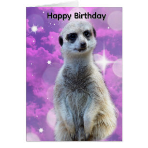 Meerkatze mit Glitter, Geburtstagskarte
