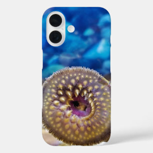 Meerneunauge iPhone 16 Hülle