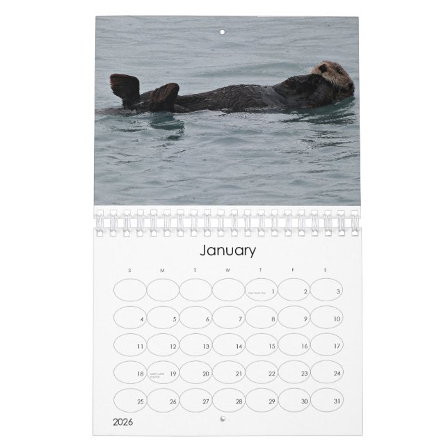 MeerOtterliscious 2013 Kalender (Jan 2026)