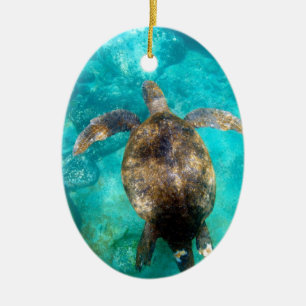 Meerschildkrötenschwimmen im Unterwasserparadies Keramikornament