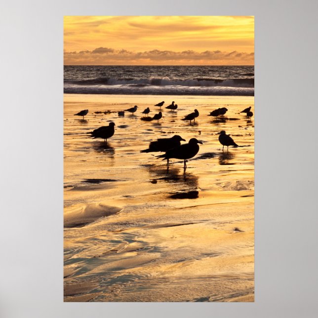 Meerschluchten am Strand bei Sonnenuntergang Poster (Vorne)