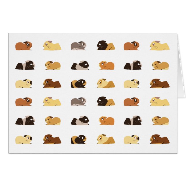 Meerschweinchen (Vorderseite (Horizontal))