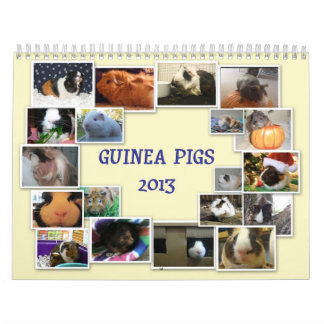 Meerschweinchen 2013 kalender