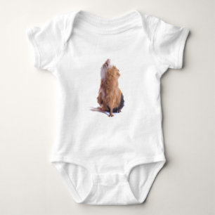 Meerschweinchen, Baby Strampler