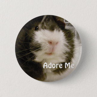 Meerschweinchen Button