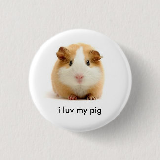 Meerschweinchen Button
