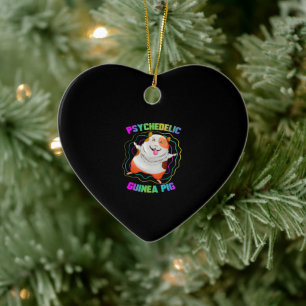 Meerschweinchen EDM-Party-Haustier Farbige Meers Keramik Ornament
