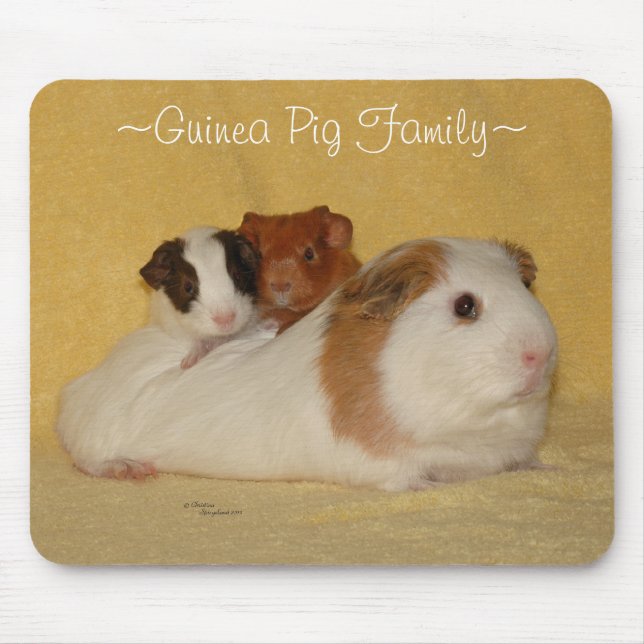 Meerschweinchen-Familie Mousepad (Vorne)
