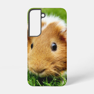 Meerschweinchen-Handyhülle Samsung Galaxy Hülle
