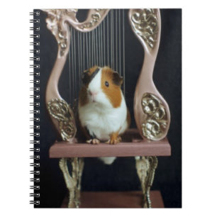Meerschweinchen-Harpfen-Notizbuch – Whimsical Stor Notizblock