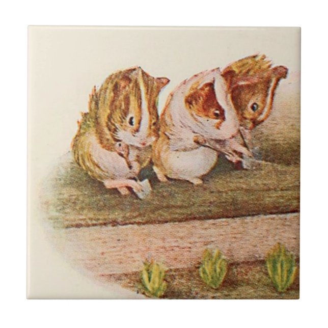 Meerschweinchen-im Garten arbeitenteil 1 von 2 Fliese (Vorderseite)