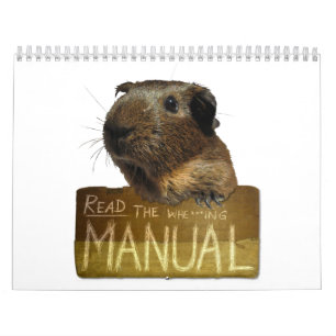Meerschweinchen-Kalender 2013 Kalender
