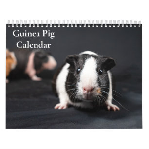 Meerschweinchen-Kalender 2026 Kalender