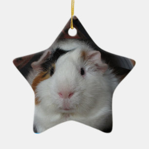 Meerschweinchen Keramikornament