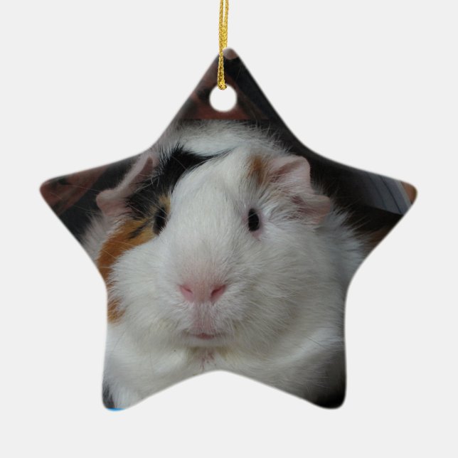 Meerschweinchen Keramikornament (Vorne)