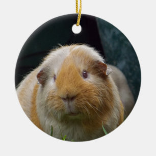 Meerschweinchen Keramikornament